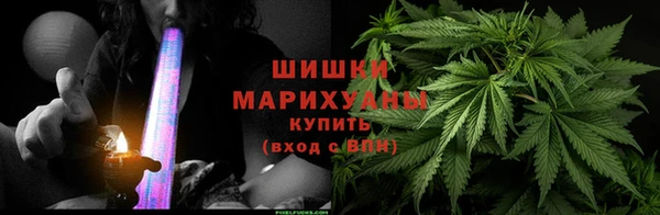 ГАЛЛЮЦИНОГЕННЫЕ ГРИБЫ Алзамай